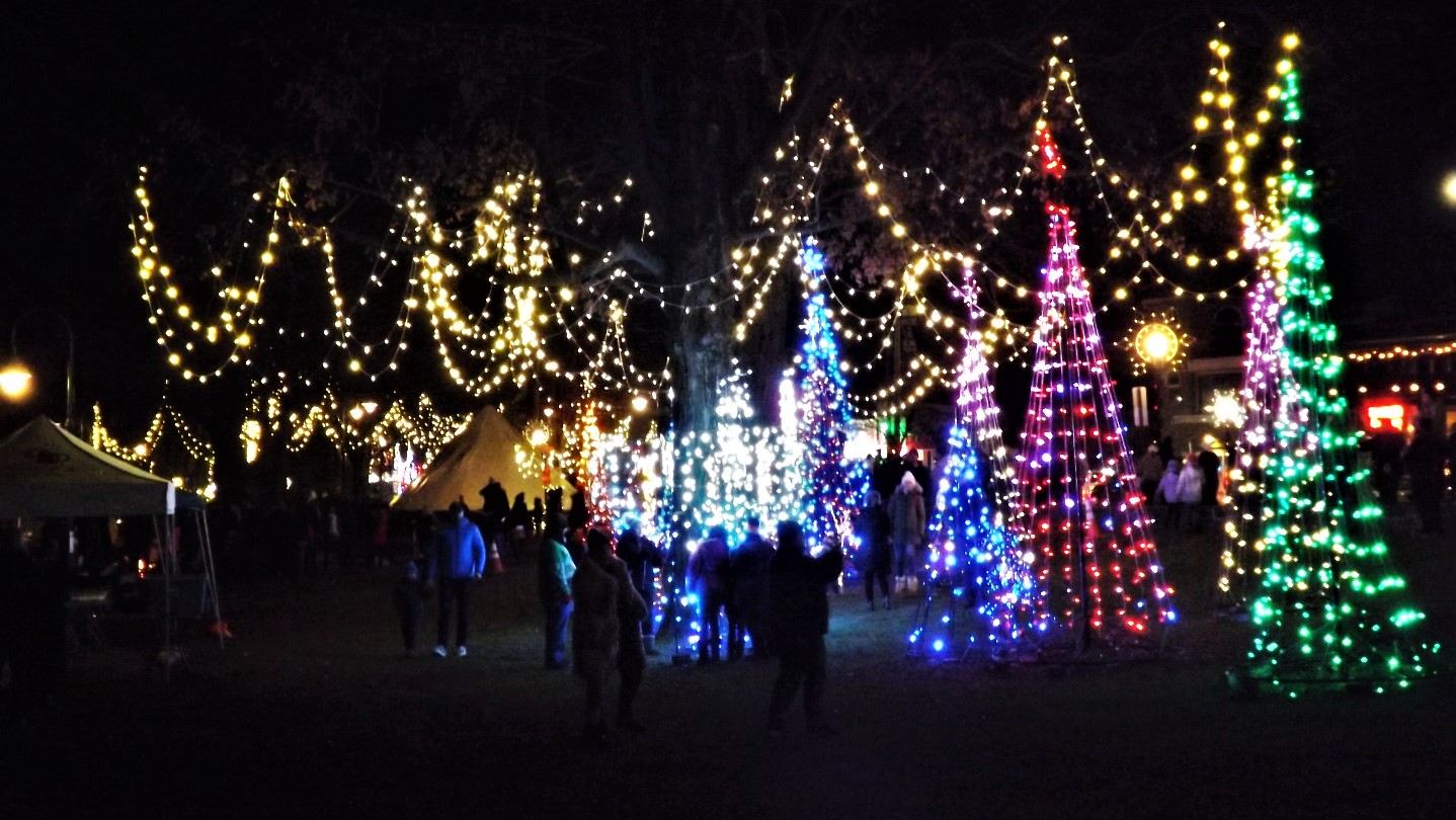 Photos Lake kicks off the holidays with song and light The